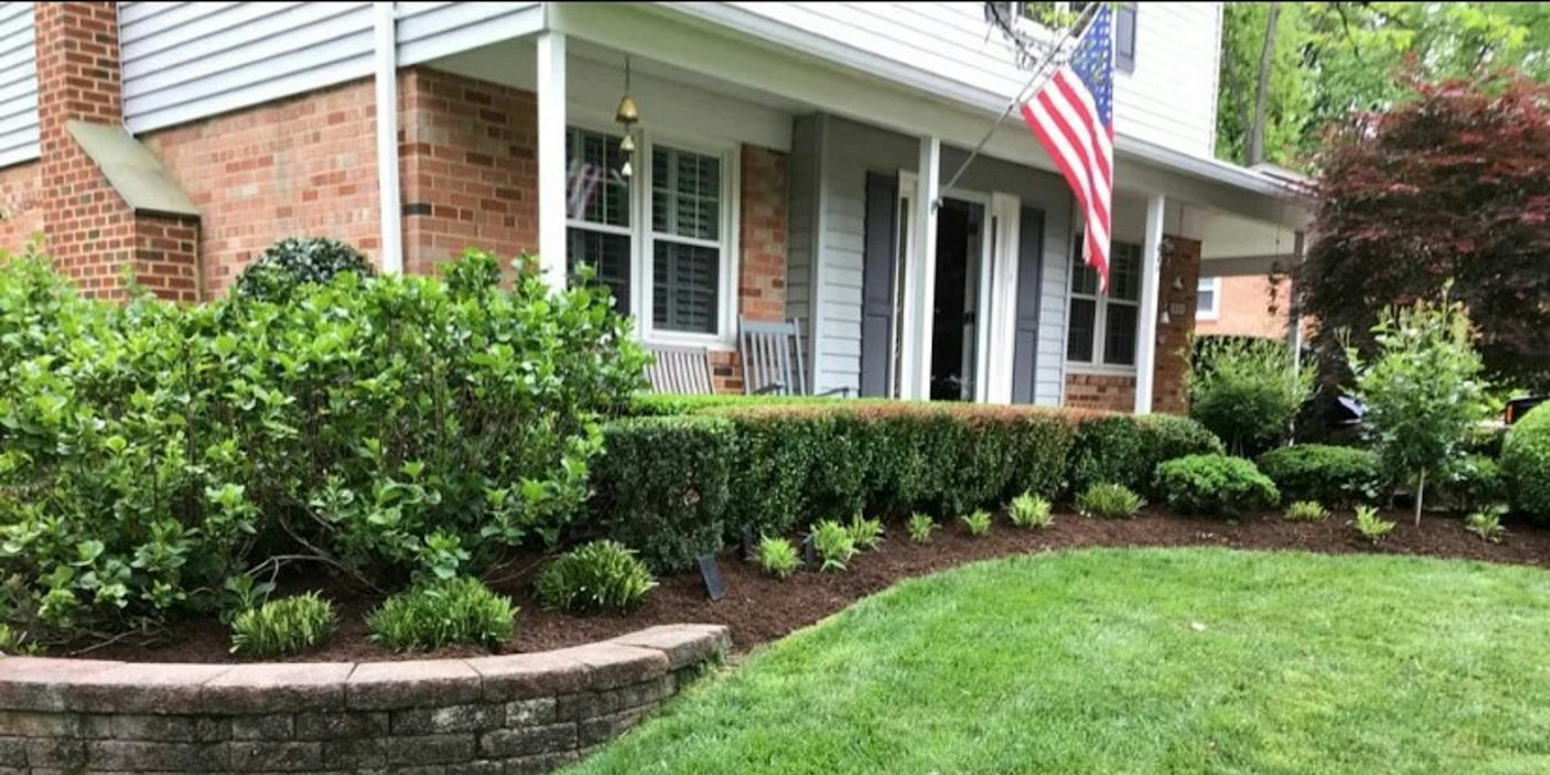 A front garden with freshly mulched beds edging a green lawn and clipped shrubs